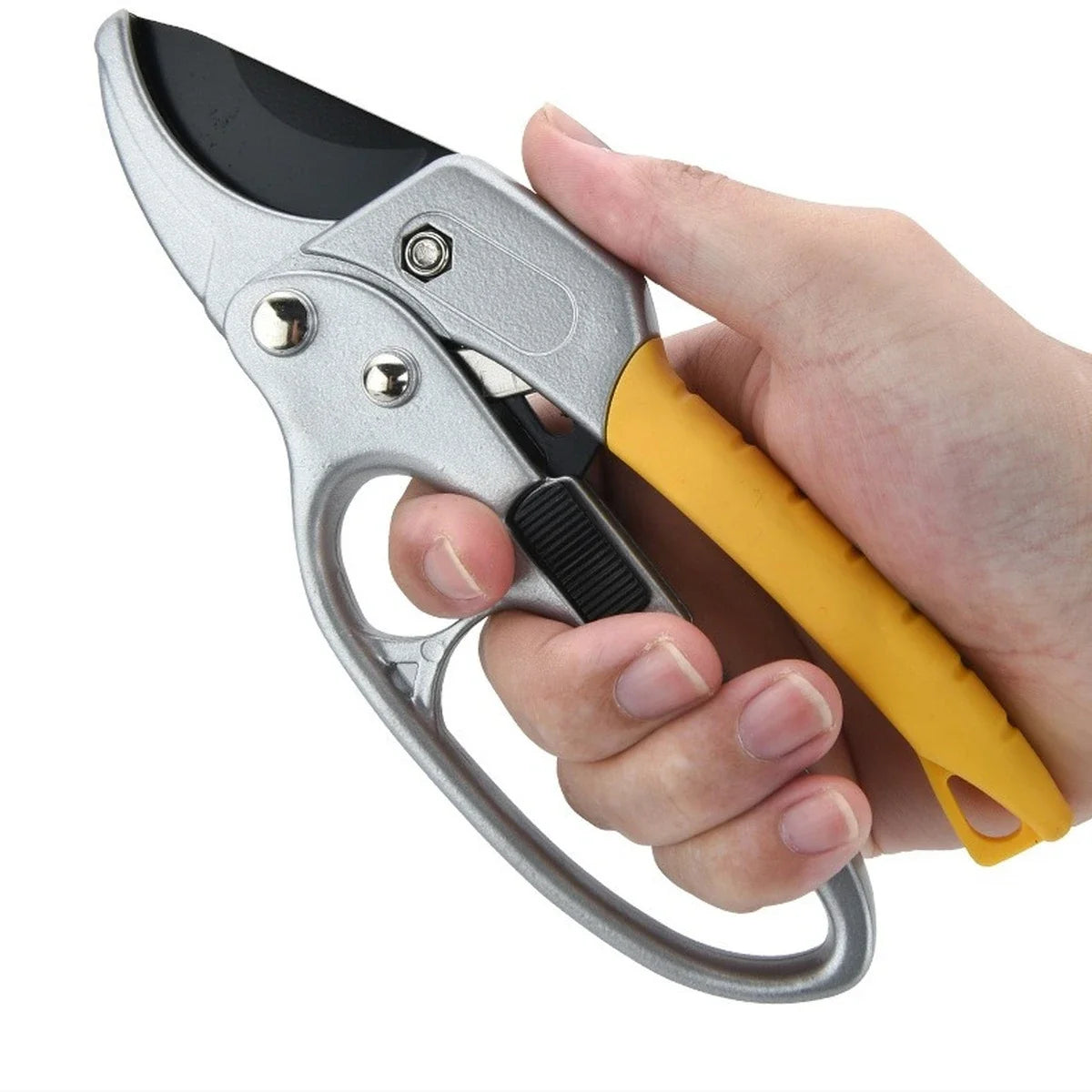 Professional Garden Pruning Shears