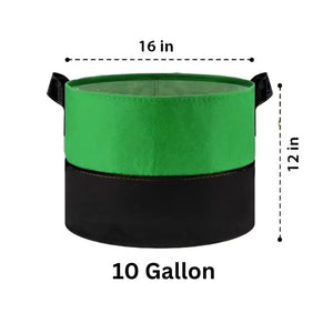 Fabric Plant Grow Bag